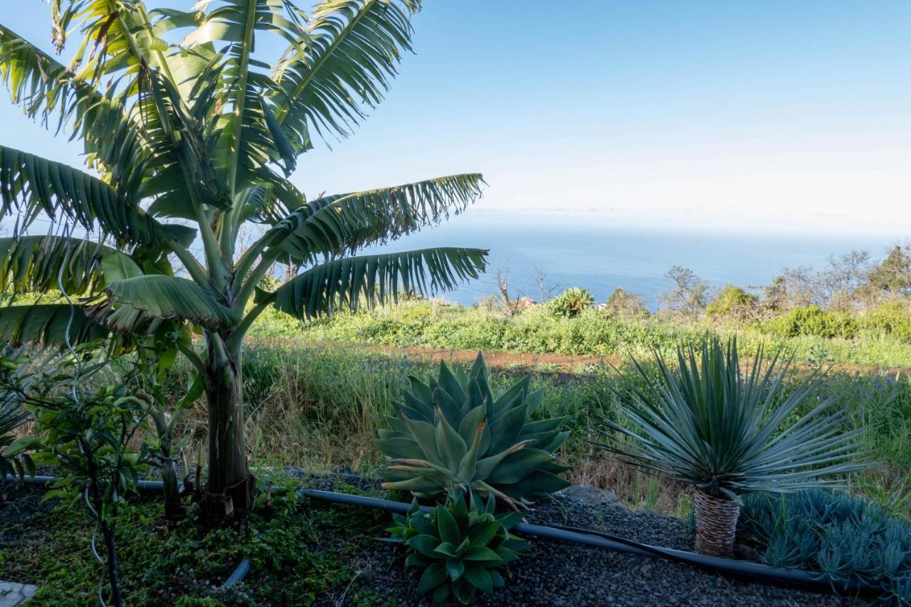 Hrlos Piratas - Ferien Haus La Palma - Good Wlan !! Tijarafe Εξωτερικό φωτογραφία