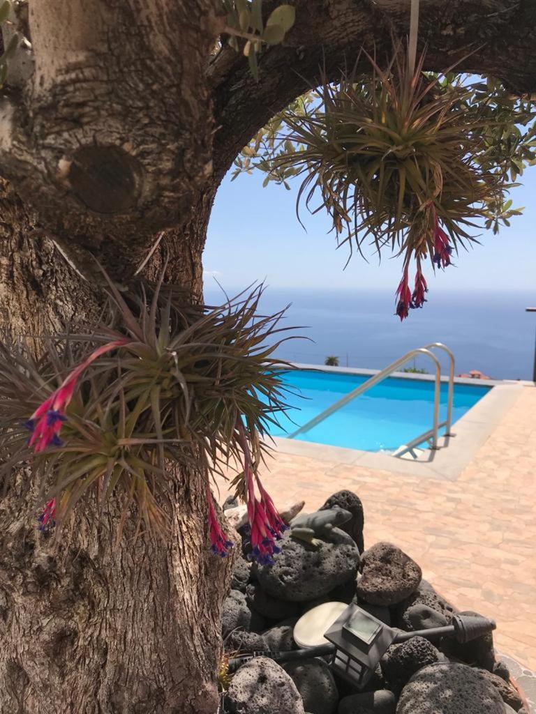 Hrlos Piratas - Ferien Haus La Palma - Good Wlan !! Tijarafe Εξωτερικό φωτογραφία